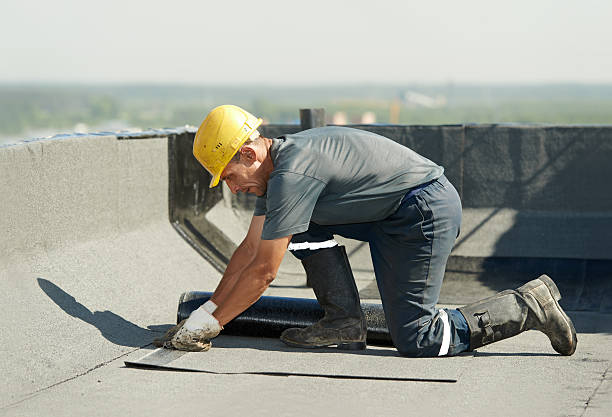 Best Insulation Installation Services in Camden, SC