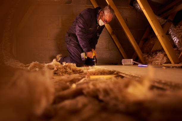 Best Insulation Materials and Products in Camden, SC